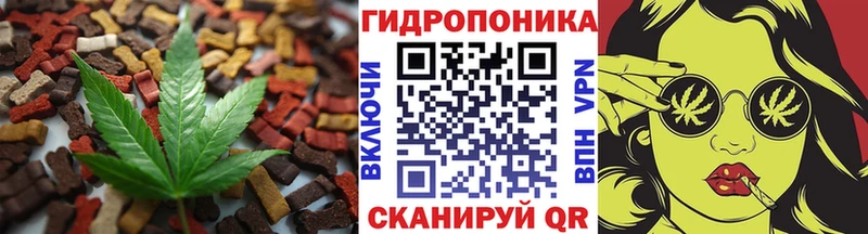 Canna-Cookies конопля  как найти закладки  Котово 