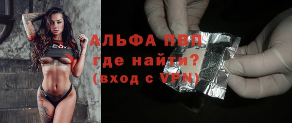 первитин Богданович