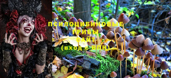 первитин Богданович
