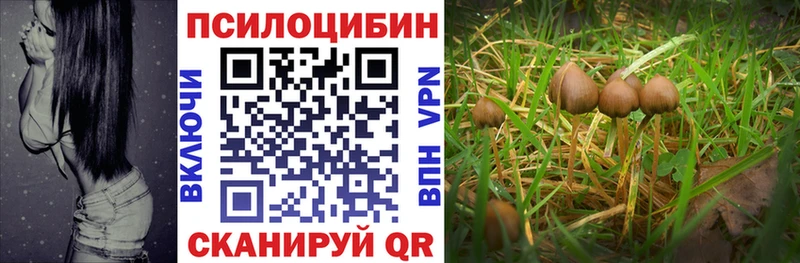 Псилоцибиновые грибы Psilocybine cubensis  купить закладку  OMG tor  Котово 